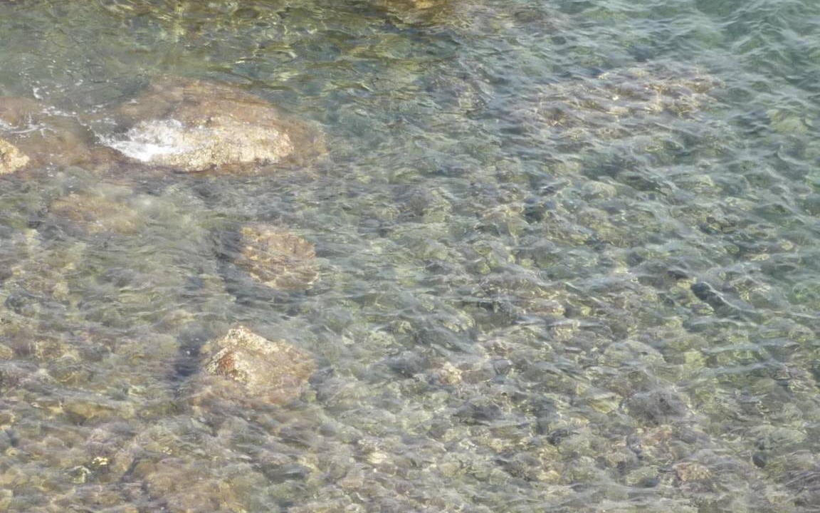 Photo of Others in Mazarron