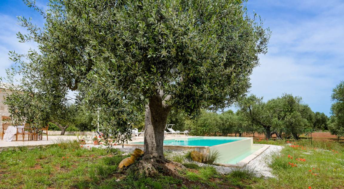 Photo of Others in Villa Castelli