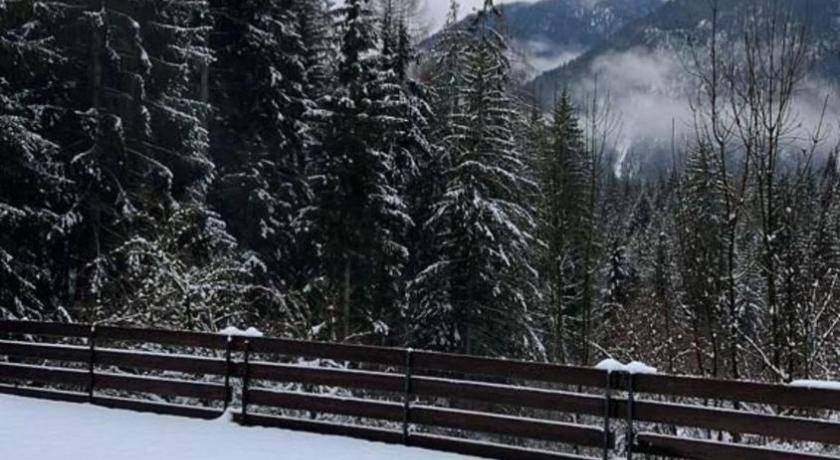 Photo of Others in Vigo di Cadore