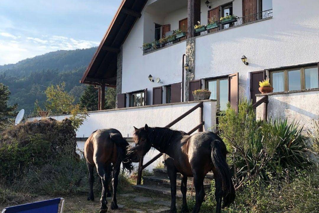 Photo of Others in Borzonasca