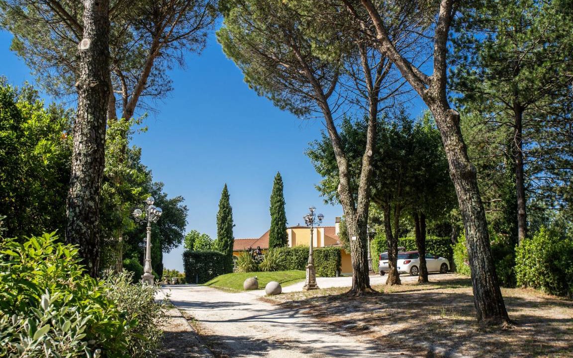 Photo of Others in Pieve a Nievole