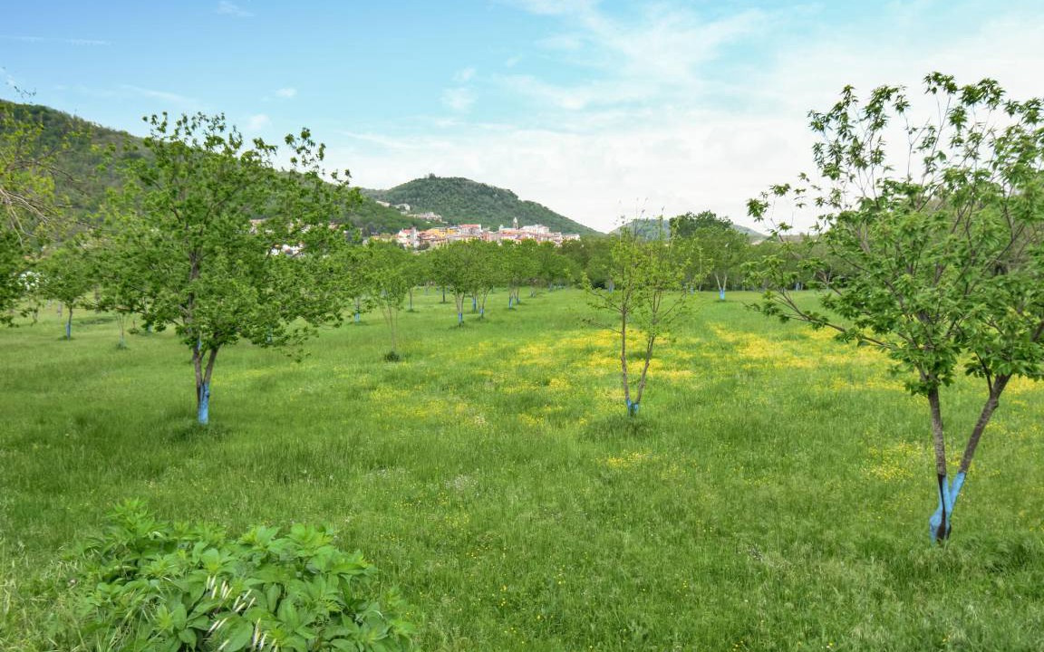 Photo of Others in Roccamonfina
