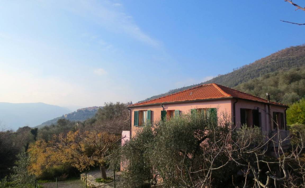 Photo of Others in Gazzelli
