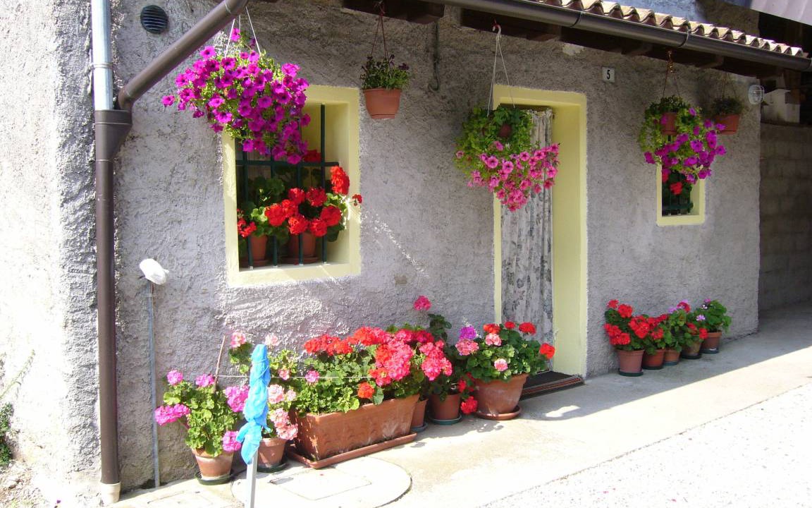 Photo of Others in Segusino