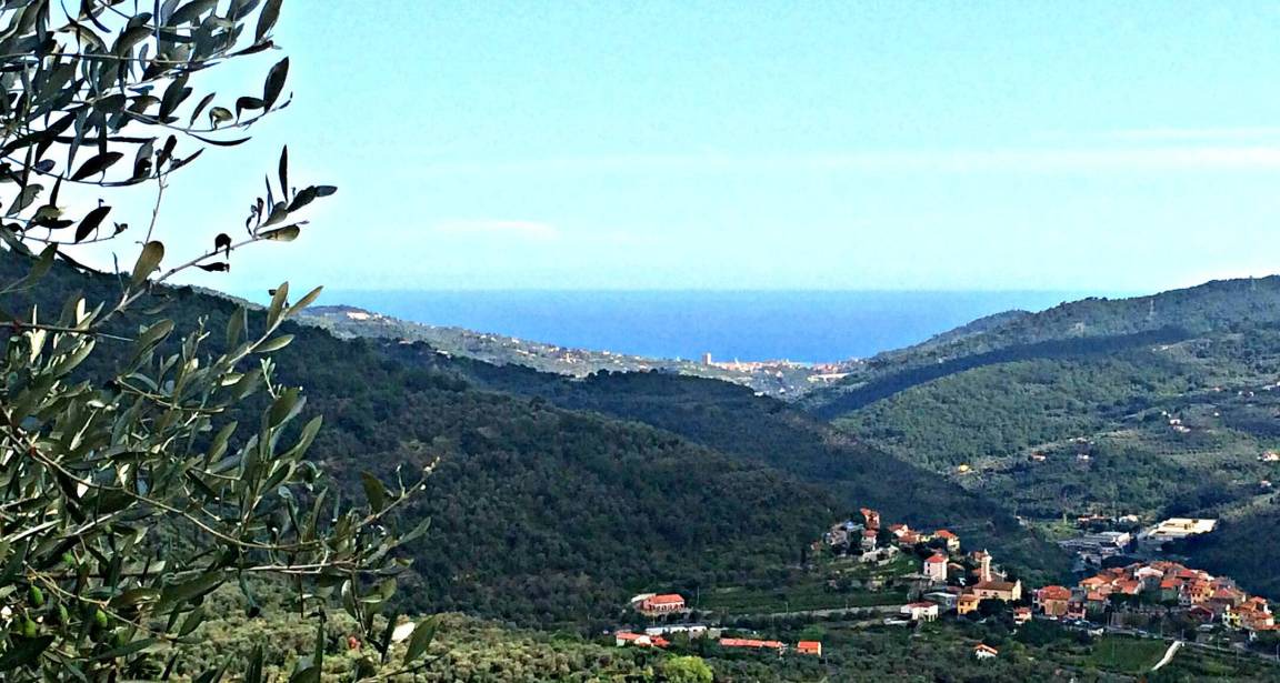 Photo of Others in Chiusanico