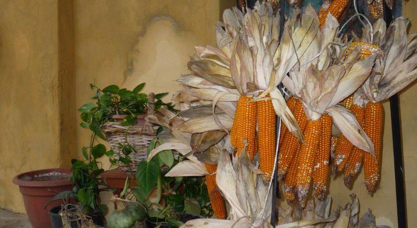 Photo of Others in Occimiano