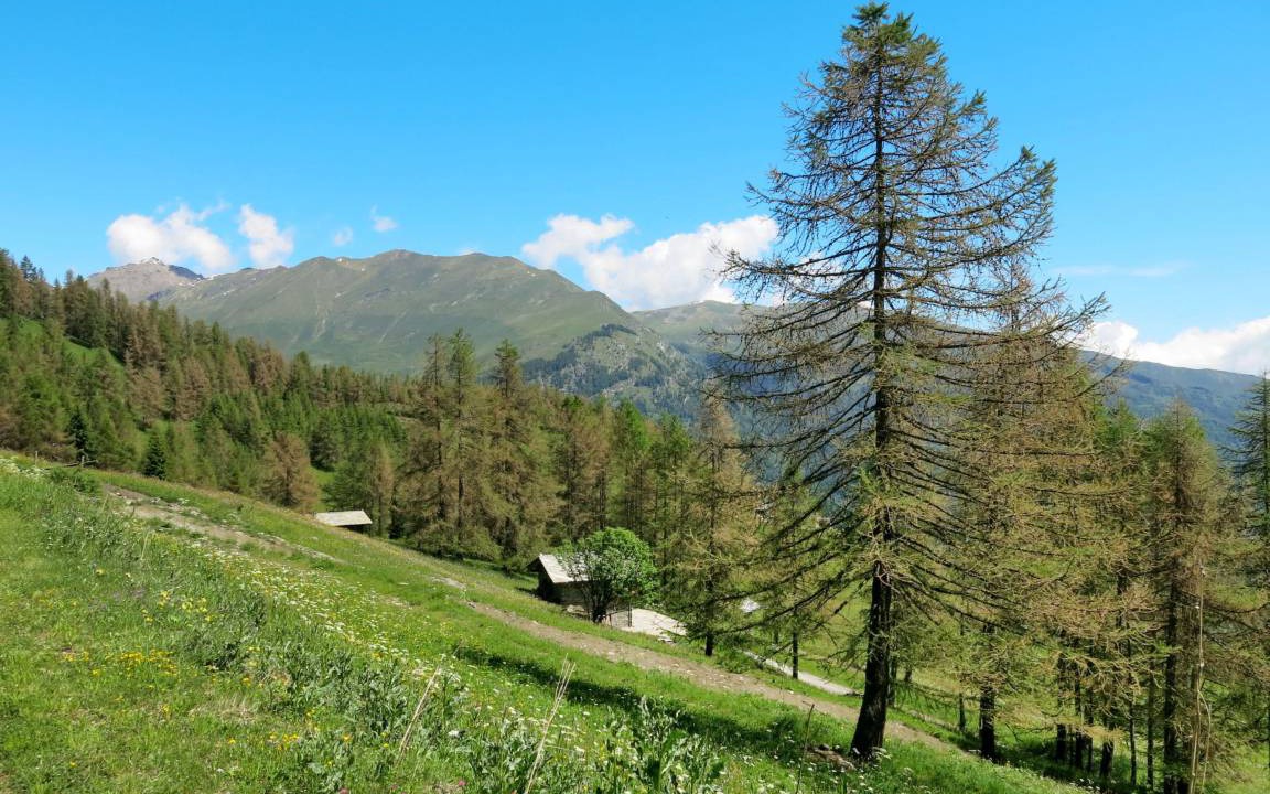 Photo of Others in Sampeyre