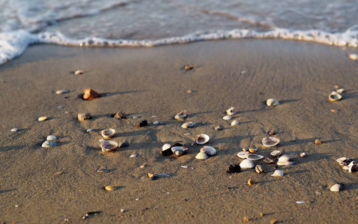Photo of Others in Bibione Lido dei Pini