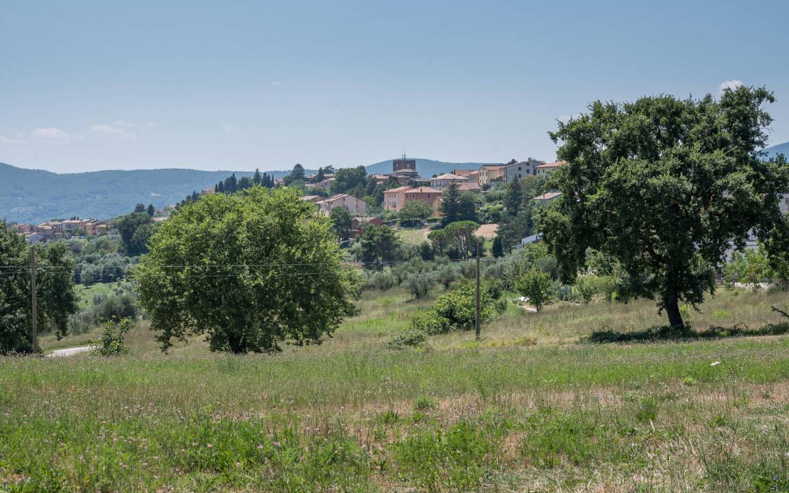 Photo of Others in Avigliano Umbrio