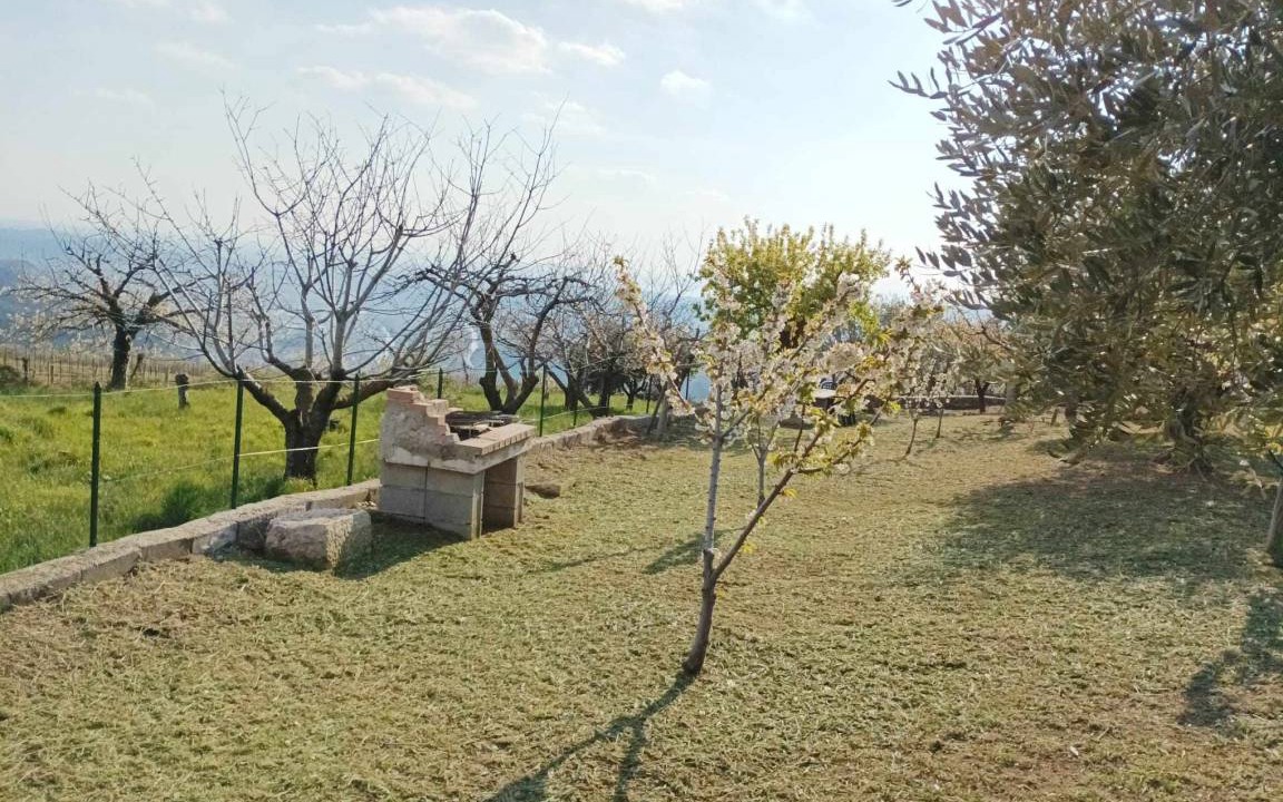 Photo of Others in Sant'Ambrogio di Valpolicella