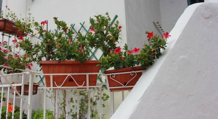Photo of Others in Amalfi