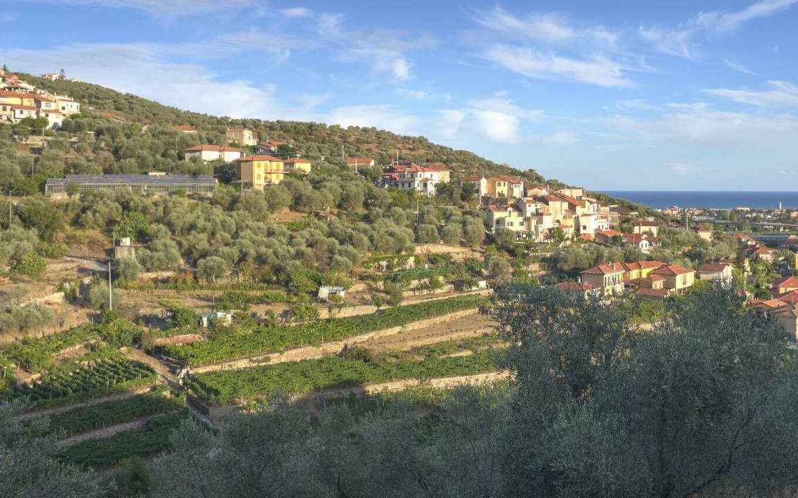 Photo of Others in Diano San Pietro