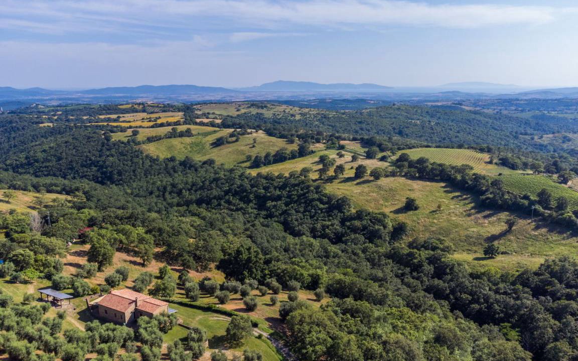 Photo of Others in Scansano