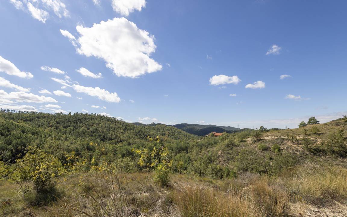 Photo of Others in La Molsosa