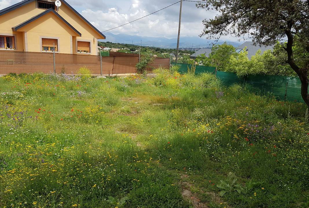 Photo of Buildings in Galapagar