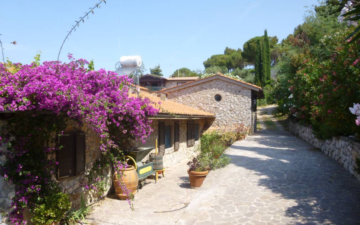 Photo of Buildings in Capoliveri