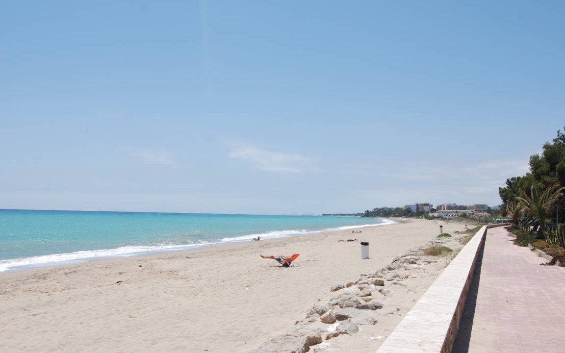 Photo of Others in Miami Platja