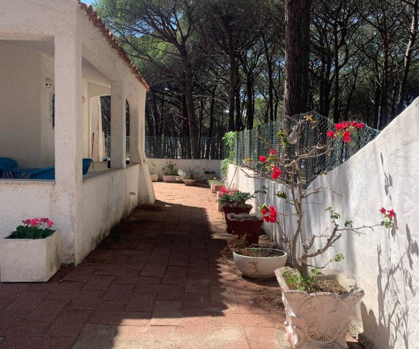 Photo of Others in Santa Lucia