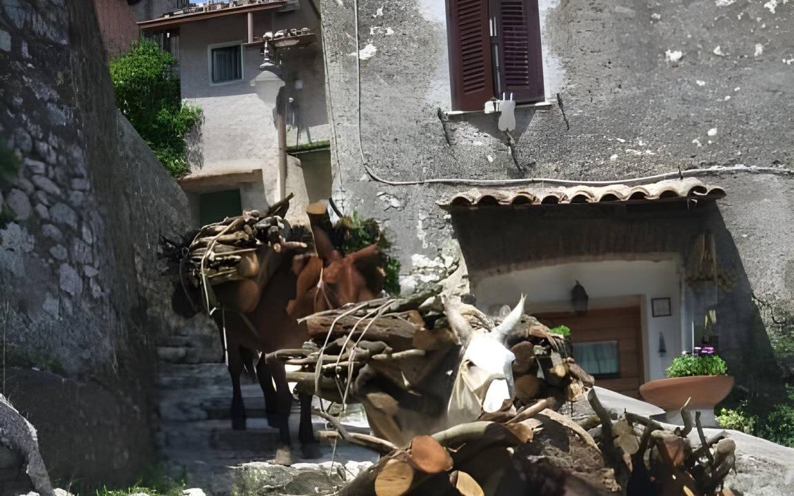 Photo of Others in Artena