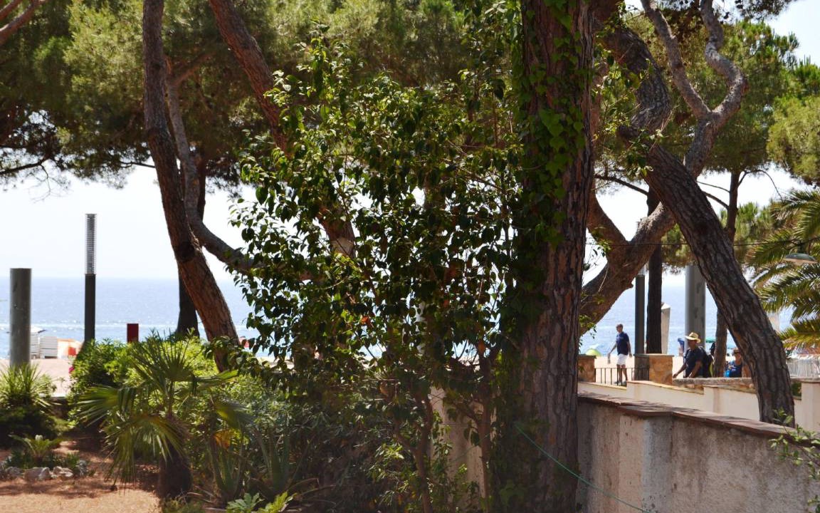 Photo of Others in Platja d'Aro
