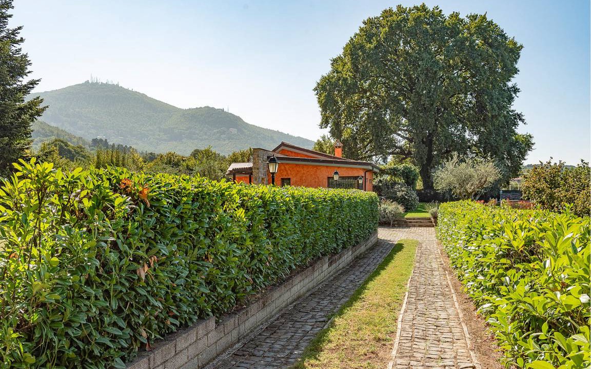 Photo of Others in Rocca di Papa