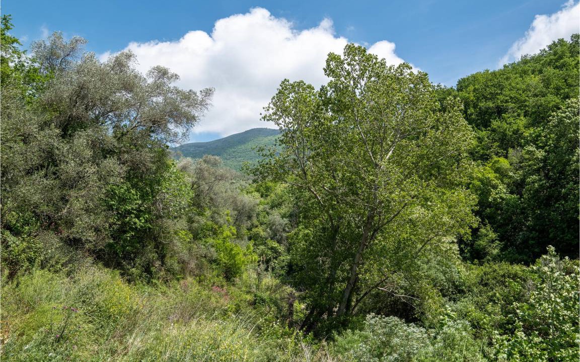 Photo of Others in Chiusavecchia