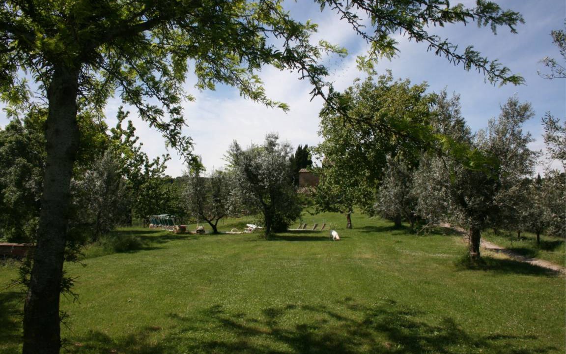 Photo of Others in Monte San Savino