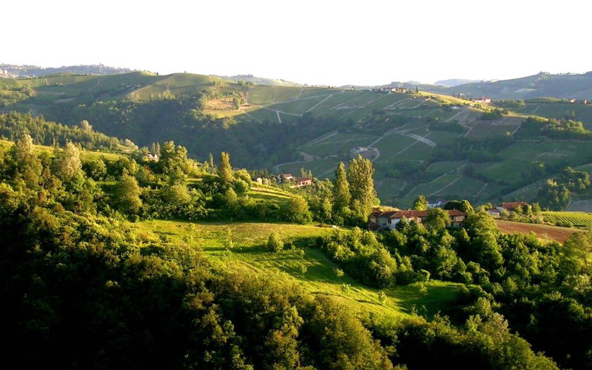 Photo of Others in Castino