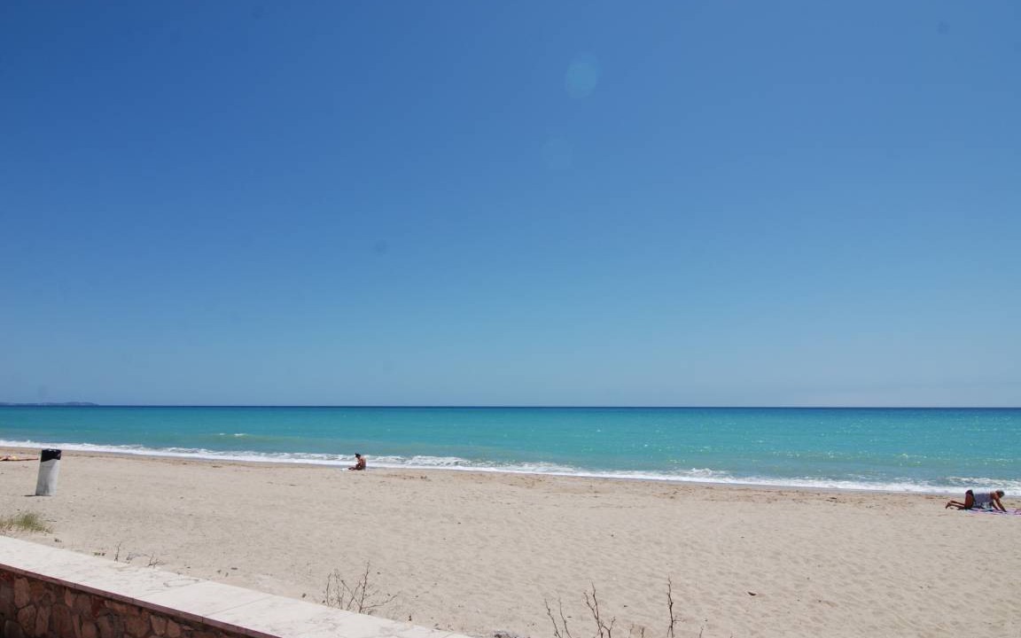 Photo of Others in Miami Platja