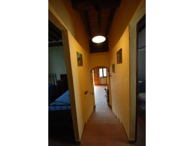 Photo of Others in Montalcinello