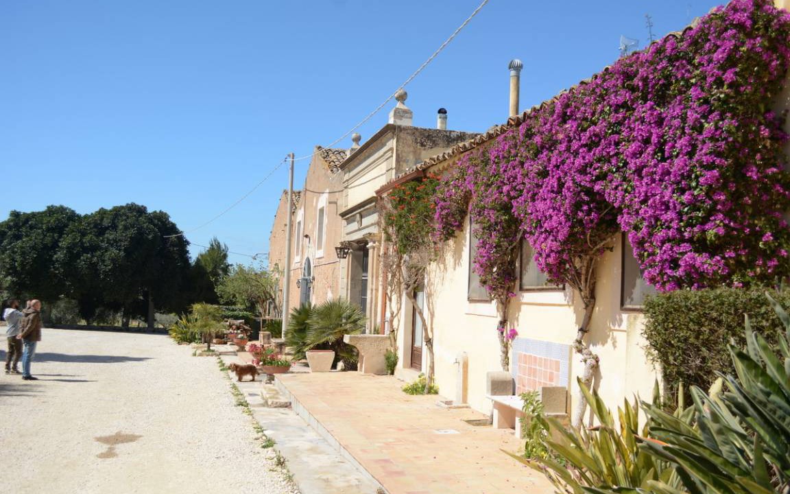 Photo of Others in Vittoria