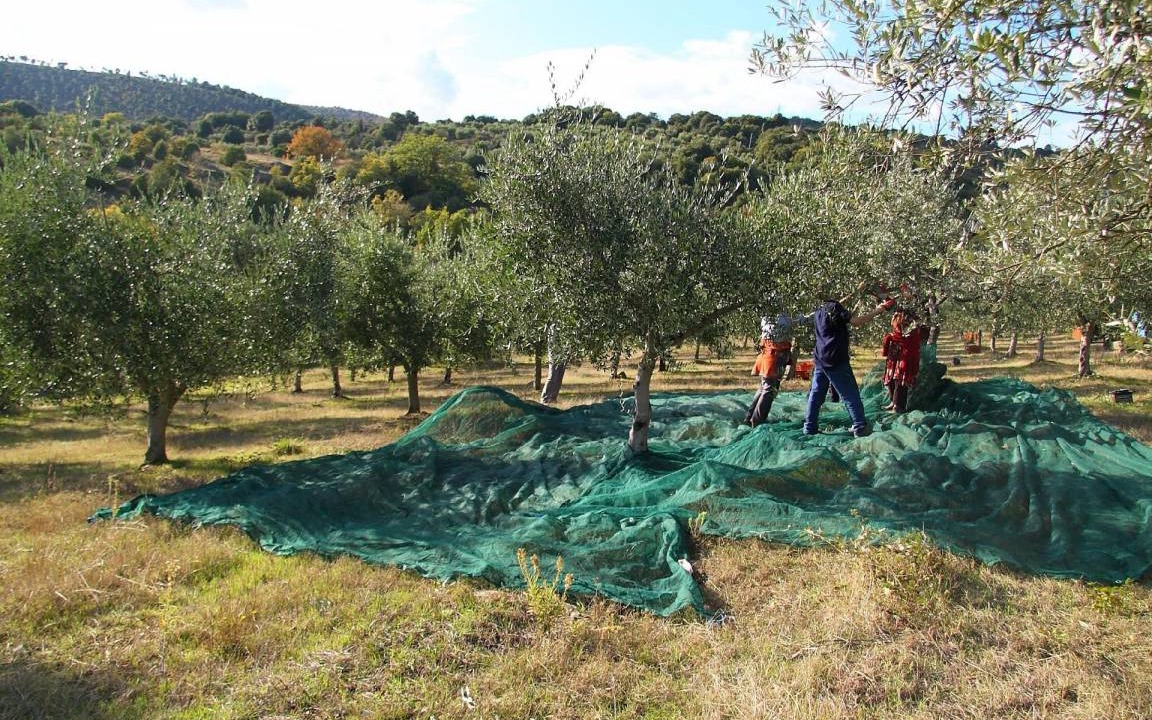 Photo of Outdoor in Monte Vibiano Vecchio