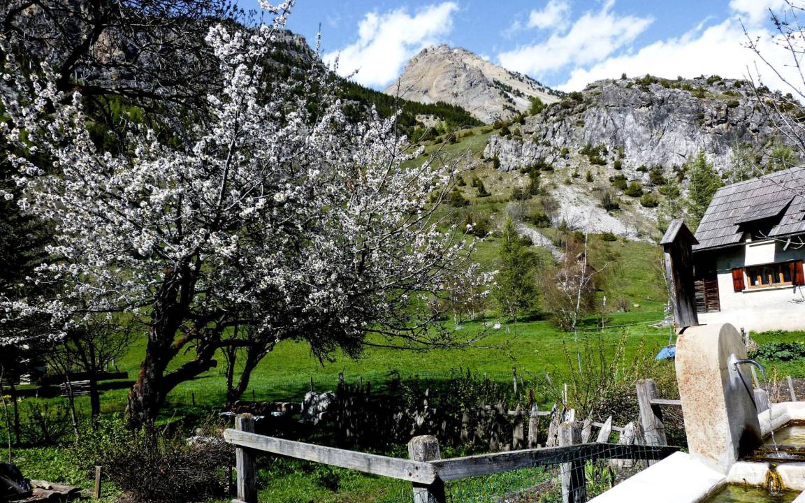 Photo of Others in Bardonecchia