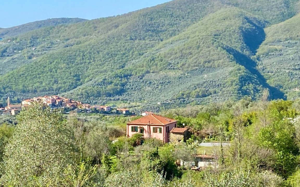 Photo of Others in Gazzelli