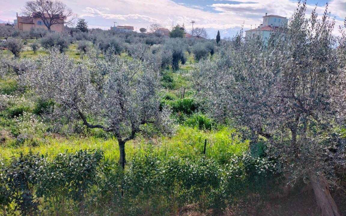 Photo of Others in Rocca San Giovanni