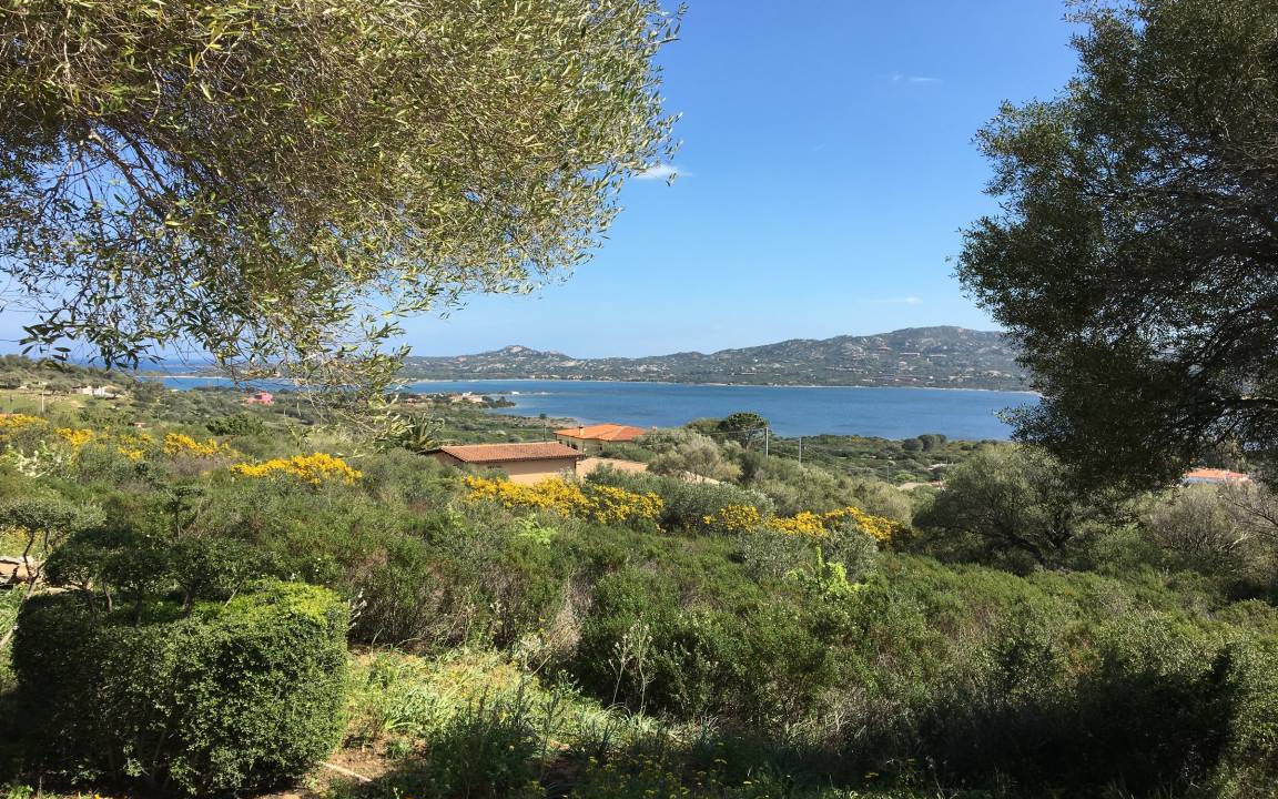 Photo of Others in Cugnana Verde