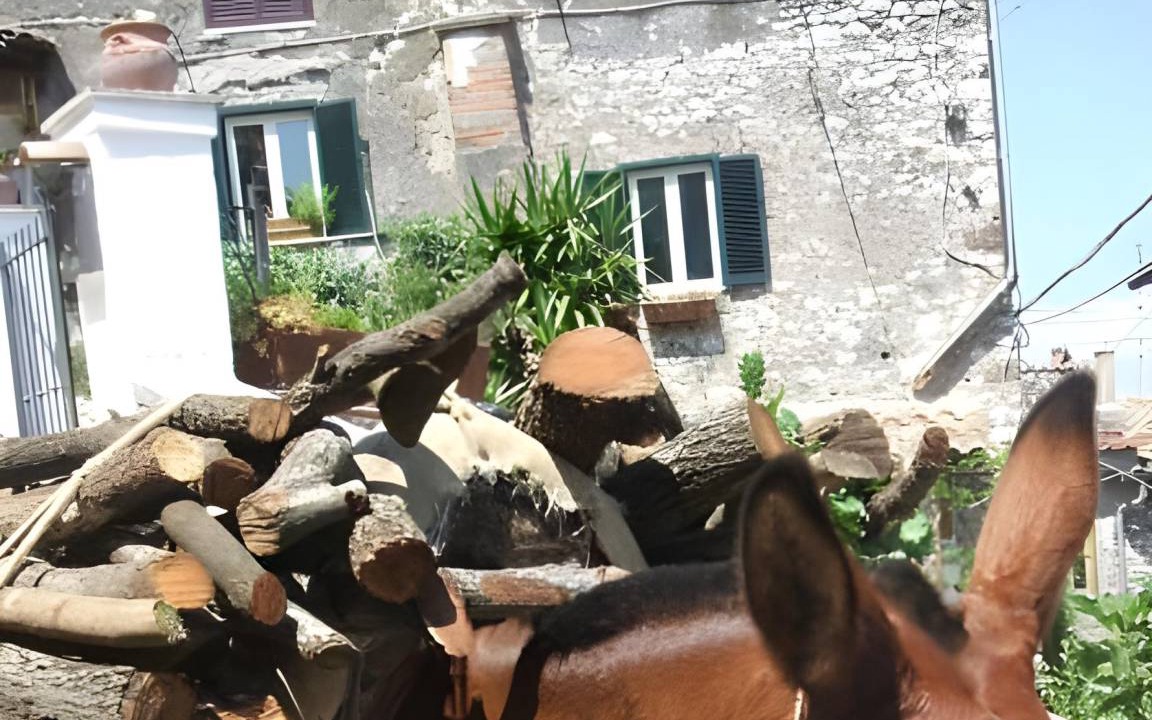 Photo of Others in Artena