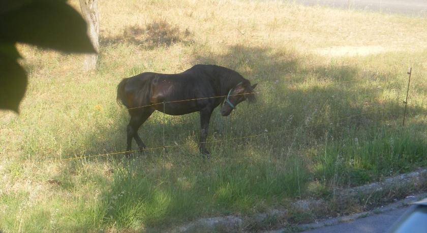 Photo of Others in Vallevo