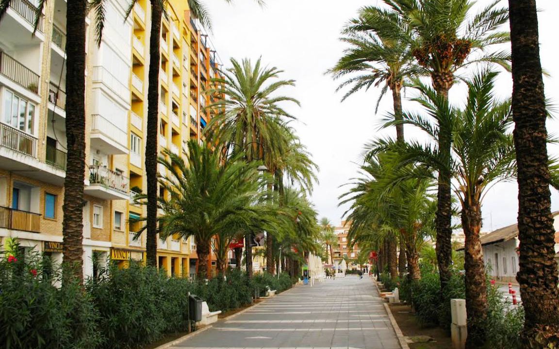 Photo of Others in Denia