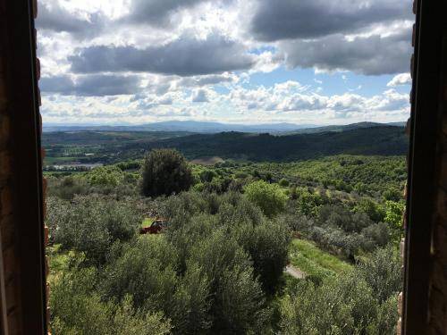Photo of Others in Teverina di Cortona
