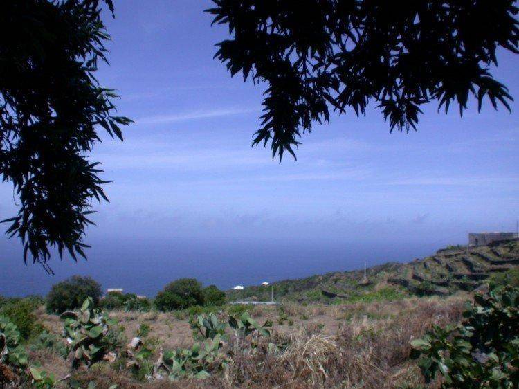 Photo of Others in Kamma