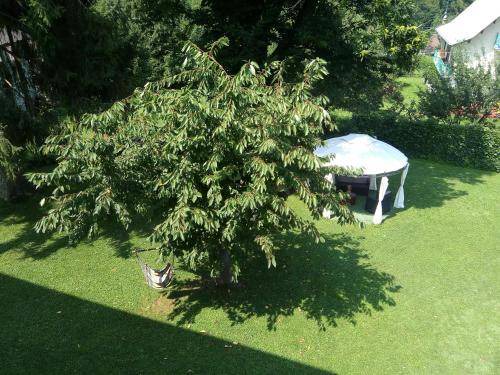 Photo of Others in Chiusa di Pesio