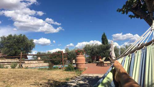 Photo of Others in Teverina di Cortona