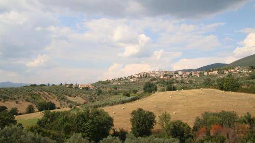 Photo of Others in Montecchio