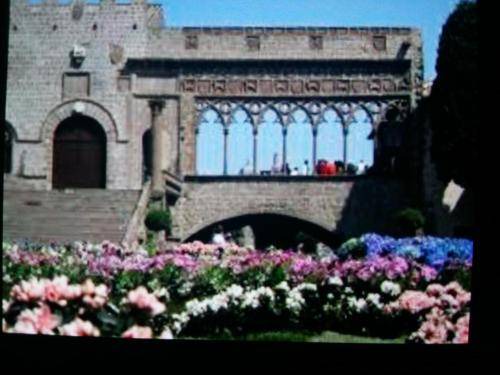 Photo of Others in Viterbo
