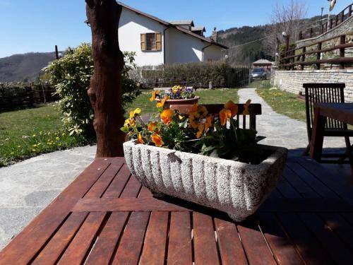 Photo of Others in Santo Stefano dʼAveto