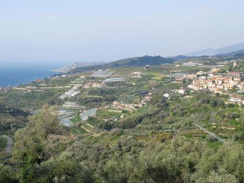 Photo of Others in Terzorio