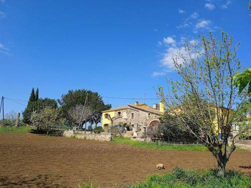 Photo of Others in Bescano