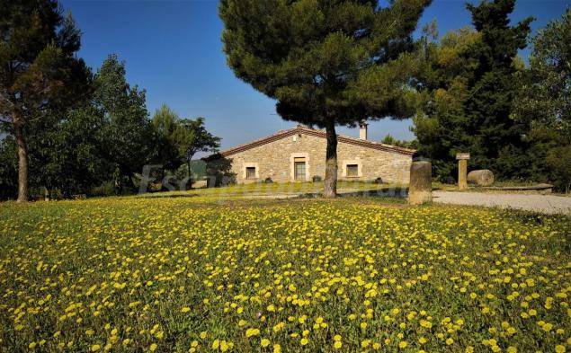 Photo of Others in Aguilar de Segarra