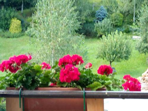 Photo of Others in Chiusa di Pesio